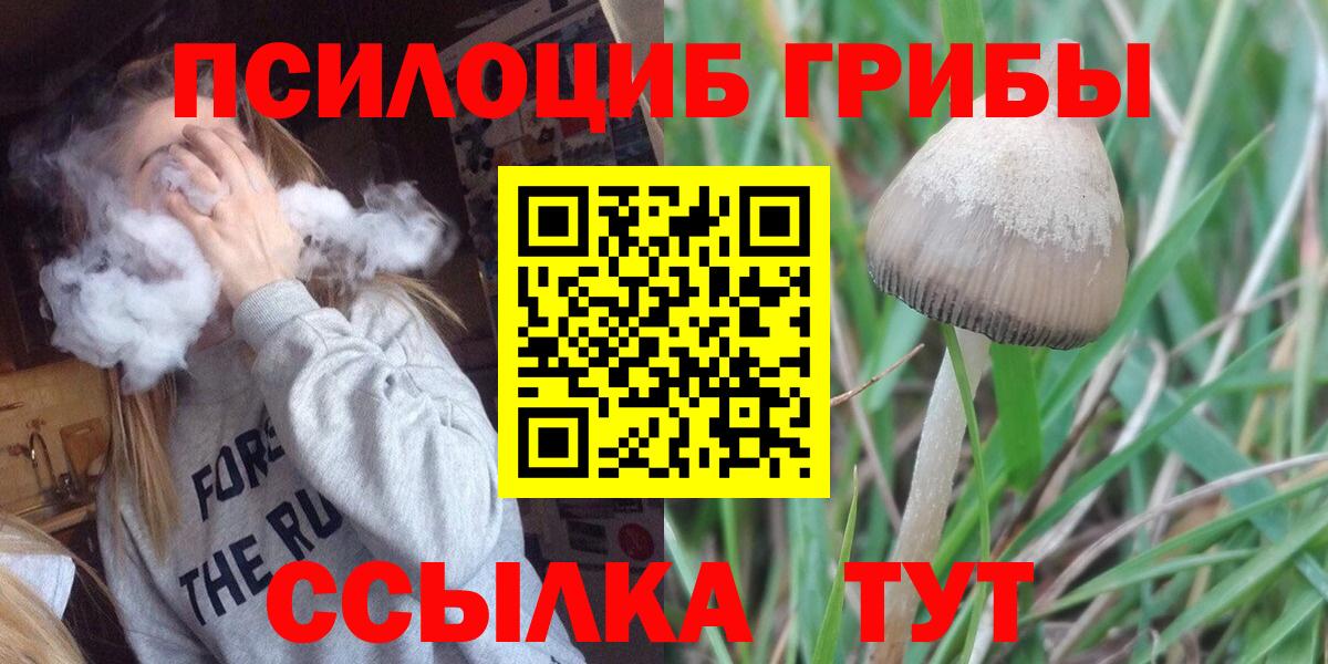 Псилоцибиновые грибы мицелий Грозный