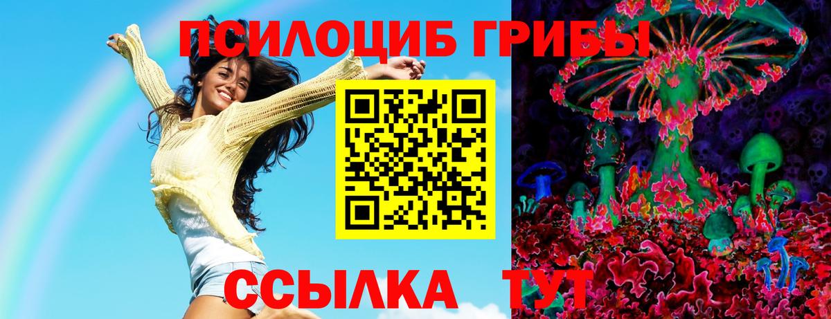 Галлюциногенные грибы Magic Shrooms  Псилоцибиновые грибы ЛСД  Грозный  дарнет шоп  Вход с VPN 